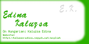 edina kaluzsa business card